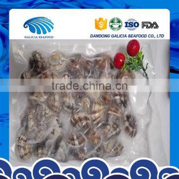 Frozen Boiled Baby Clam No sand No shell Pieces