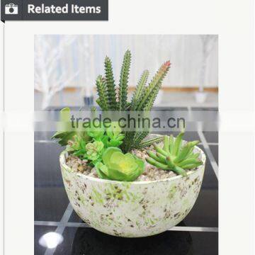 Artificial Succulents Wholesale Bonsai Potted Small Plant Table Artificial Preserved Plant photo-4