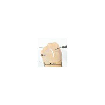Double-sided Eyelash Adhesive Pad