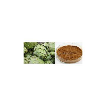 Artichoke Extract plant extract factory