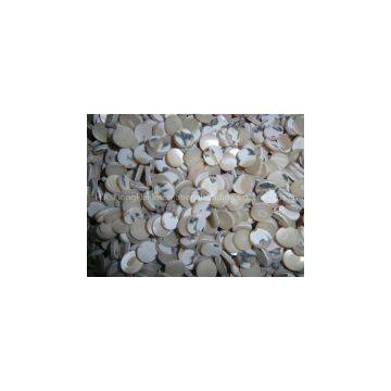 Trochus shell button blank