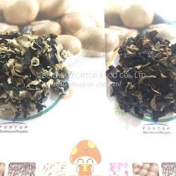 Factory Price Thick Premium Dried White Back Black Fungus Dice 2CM*2CM (AA Grade) photo-3