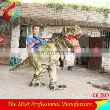Handmade customized dinosaur costume for playground