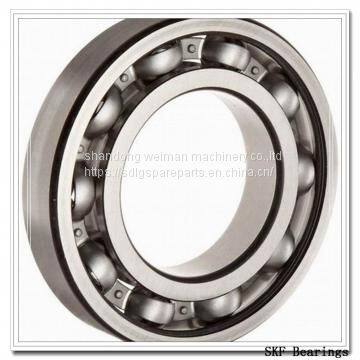 SKF Bearing