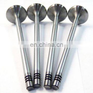Chinese Bike Spares Parts Engine Valve for Scooter 125 Znen zn Zn125 ZN125T-22 125cc