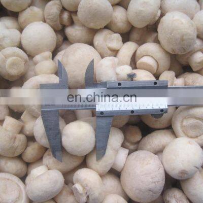 Wholesale good quality delicious frozen champignon mushroom