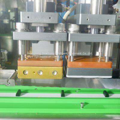 Customized Nucleic Acid Reagent Production Line Equipment Manufacturer photo-3