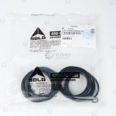 Original SDLG Teile Dichtungssatz (J4110002988019) für LG918/LG936/LG936L