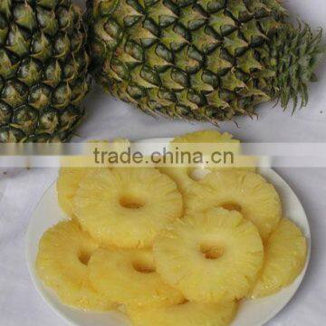 GOOD TASTE CANNED SLICE PINEAPPLE, PROMPT DELIVERY NOW !