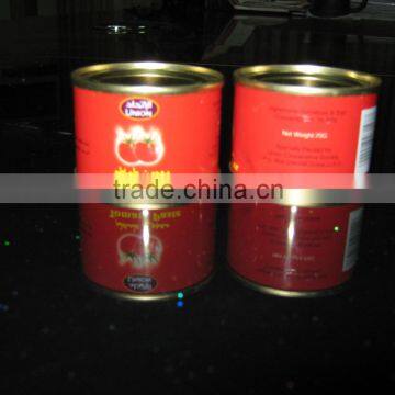 canned tomato paste