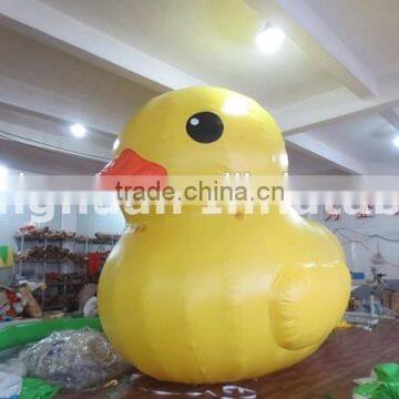 inflatable rubber duck