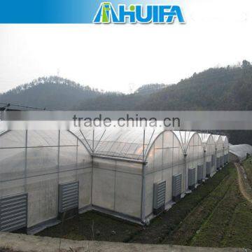 Multi-span easy assemble winter sunlight agricultural greenhouse for sale