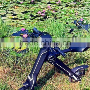 Newest Fashion Durable Sport Racing Electric Scooter photo-5