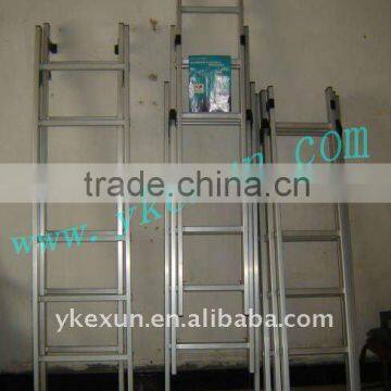 triple or dual section ladder
