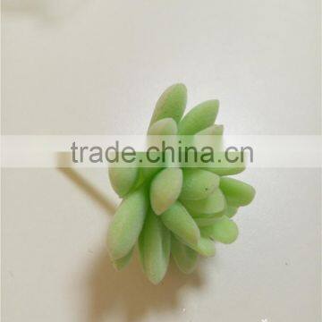 Popular high simulation artificial succulent plant from China manufacture