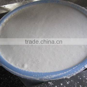 Coconut Milk Extracing Machine Coconut Milk Extracting Machine photo-2