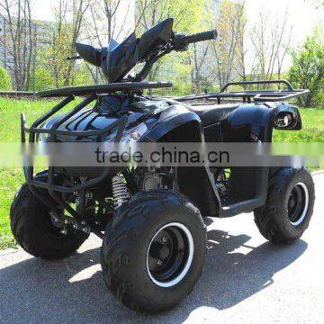 110cc/125cc ATV/QUAD(XW-A23)