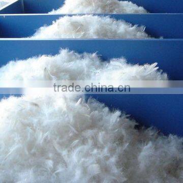 High filling power washed white feathers for sale