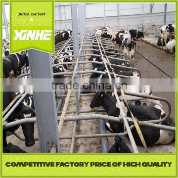 Low price and fine supplier Cattle pen layout