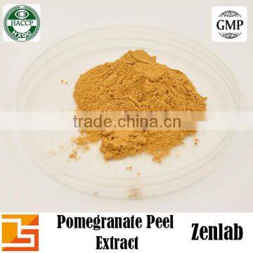 Pomegranate Plant Extract Powder With Pomegranate P.e