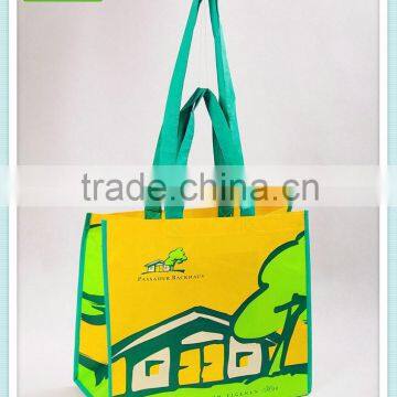 Fashion Shopping Bag on Sale,nice Bag ,pp Woven Bag photo-2