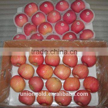 Chinese Fuji Fresh Red Apple photo-2