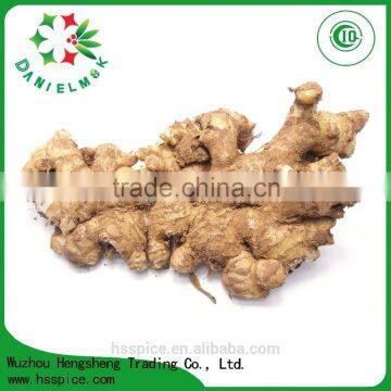 Chinese Spices Yellow Natural Dried Tumeric Finger