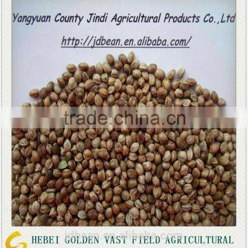 2015 Whole Hemp Seeds good grade