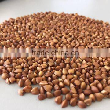 Buckwheat price--Roasted buckwheat kernel