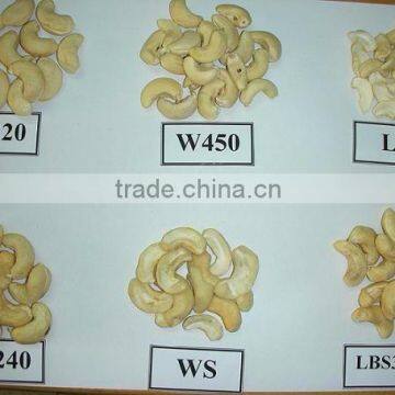 Dried Style Vietnam Cashew Nuts/ Cashew Kernels ww240/ ww320/ ws/ lp