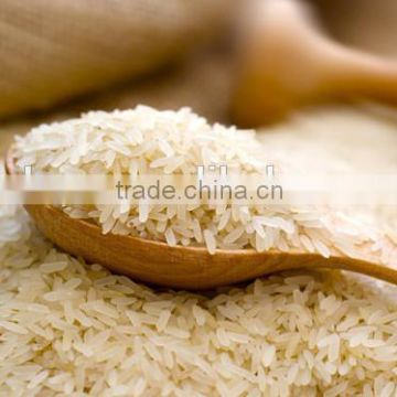 Hotsale high quality rice protein