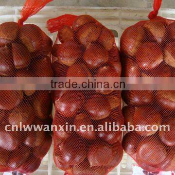 dandong fresh chestnut