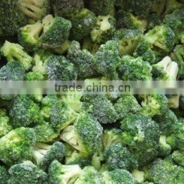 IQF Broccoli photo-4