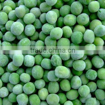 Best Sale of Frozen Fresh Green Pea New Crop photo-2