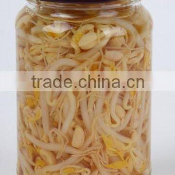 high quality mung bean sprouts