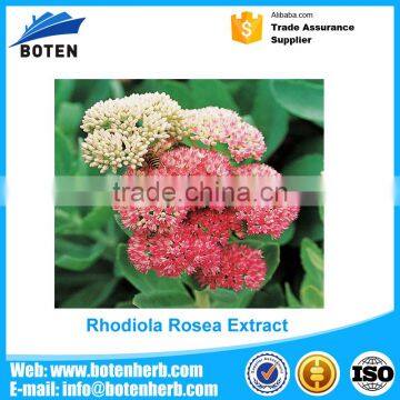 Dongguan Beinuo rhodiola rosea raw for wholesales