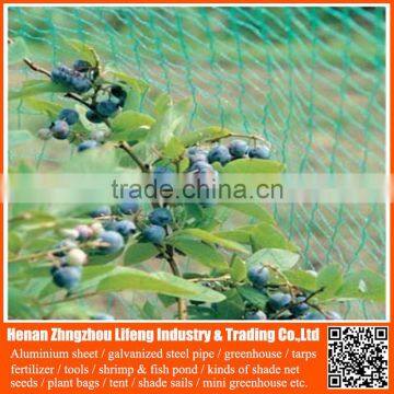 competitive price nylon netting fabric , plastic hdpe anti bird net / bird netting for catching birds