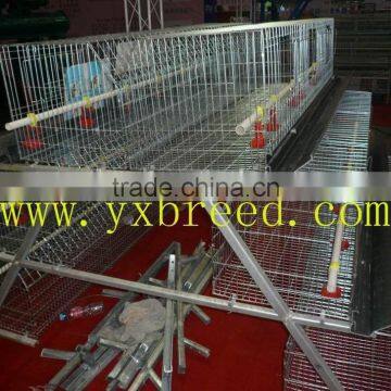 ladder breeding chicken cage