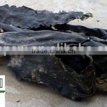 Kelp Raw Material,Dried Kelp,dry Algae,dry Algae,taiwan Seafood Importers