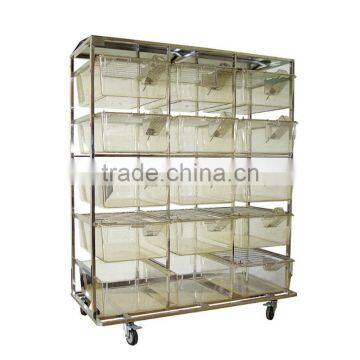 Transparent cages for guinea pig and rats