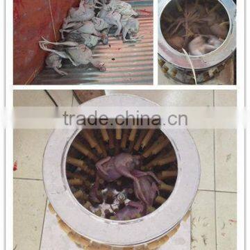 2015 New Style CE Approved Wq-50 Chicken Plucker Automatic photo-5