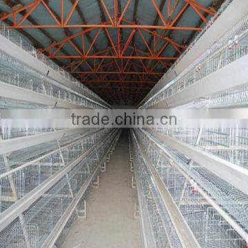 Poultry farming chicken brooder wire mesh cage/galvanized wite mesh chicken layer cage