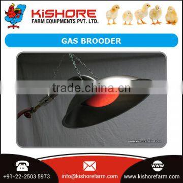 Best Quality Gas Brooder for Poultry Farm