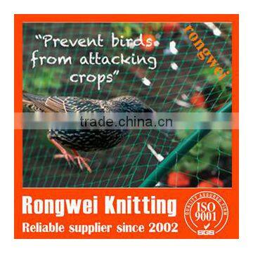 garden bird netting with various mesh openings to control birds