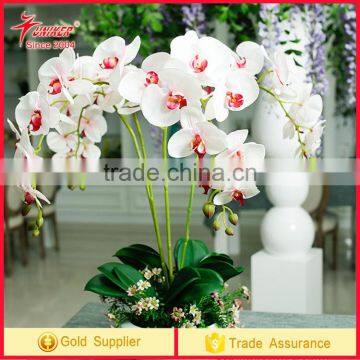 2017 trend prouct High Quality Butterfly orchid Real Touch Flower Artificial