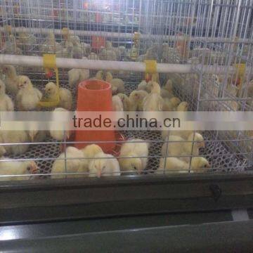 4 Layers Galvanized H Type Boriler Chicken Cage