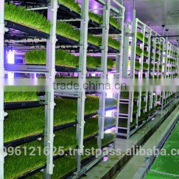 STAR GF300 Hydroponic Fodder Machine / Green Fodder Machine / Barley Fodder Machine