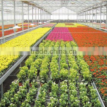 Modern ventilation system greenhouse with PC sheet covering