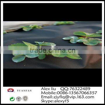 1m*15.24m Gardening Used Non-woven Membrane, the Small Slice Family Pack photo-6