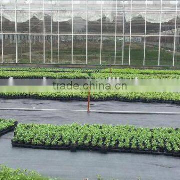 Outdoor Polypropylene Roll Ground Covering Weed Mat photo-2
